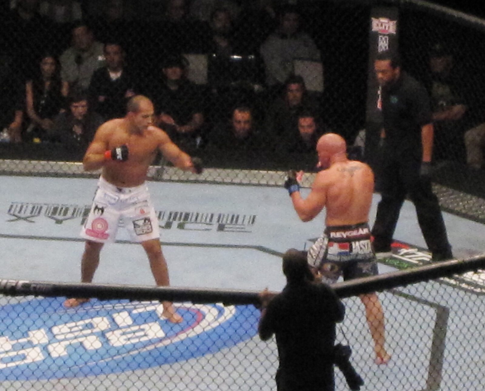 Pelea en el octágono de UFC (imagen de archivo)